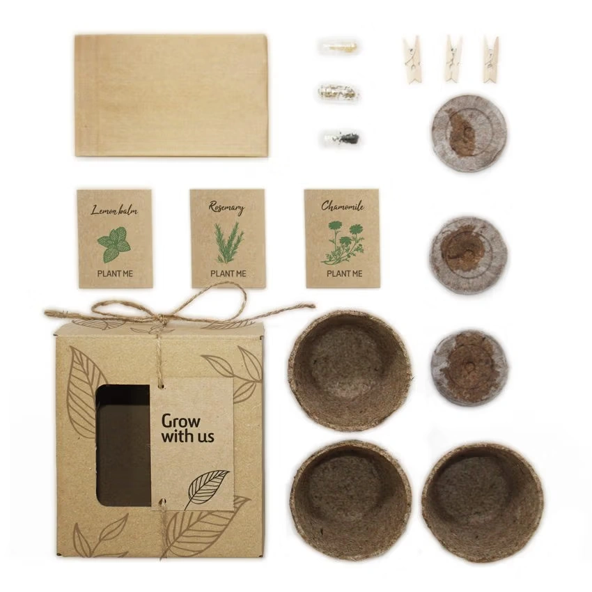 Nature 3-Pack – Pflanzset mit 3 verschiedenen Pflanzen