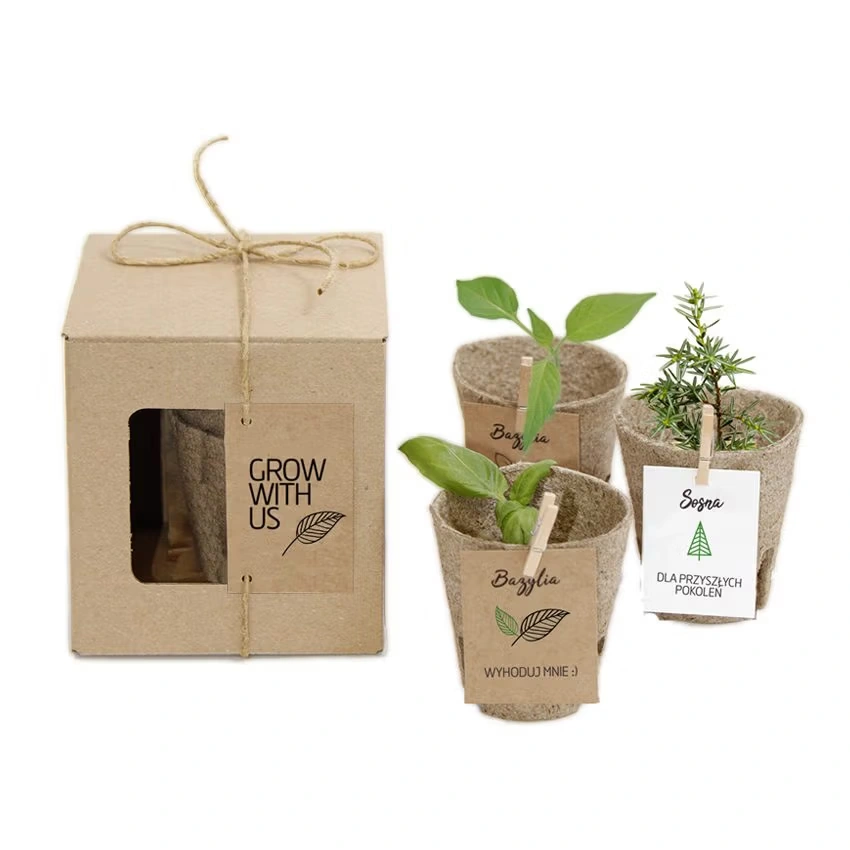 Nature 3-Pack – Pflanzset mit 3 verschiedenen Pflanzen