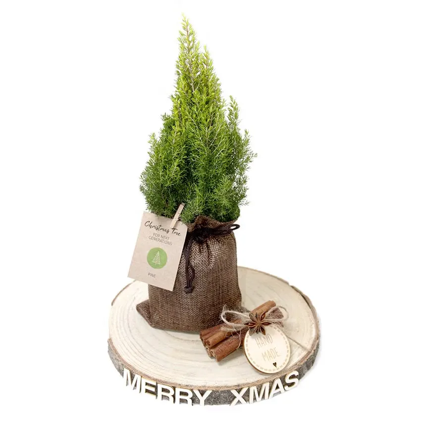Weihnachtsbaum im Jutebeutel
