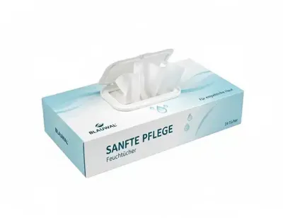 Boxed Feuchttücher (250 × 105 × 50 mm)