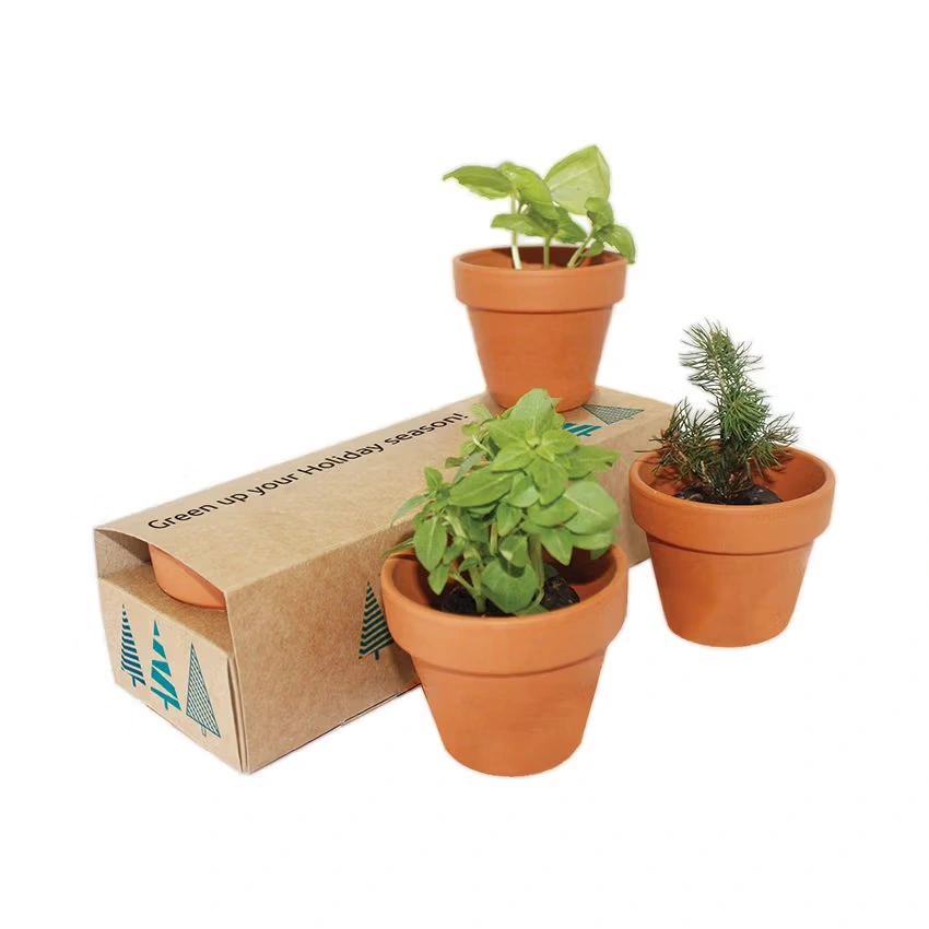 Keramik-Pflanzset 3er-Pack
