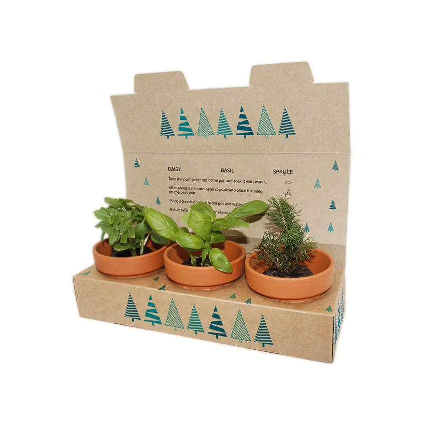 Keramik-Pflanzset 3er-Pack