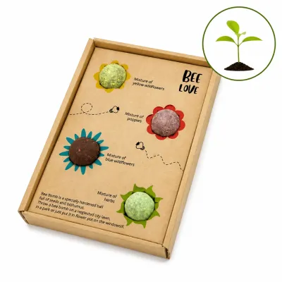 Bee Bombs 4er-Set in Geschenkbox