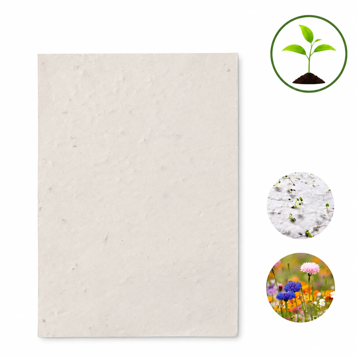 DIN A4 Wildblumen-Samenpapier.