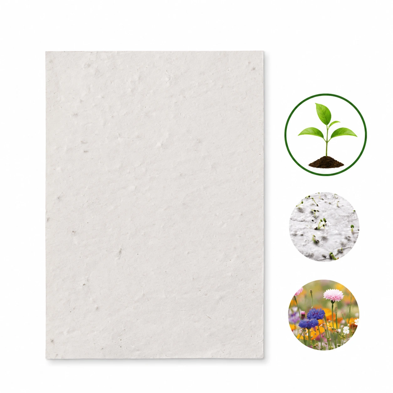 DIN A5 Wildblumen-Samenpapier