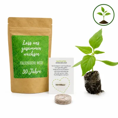 EcoBag – Nachhaltiges Pflanzset im Kraftbeutel