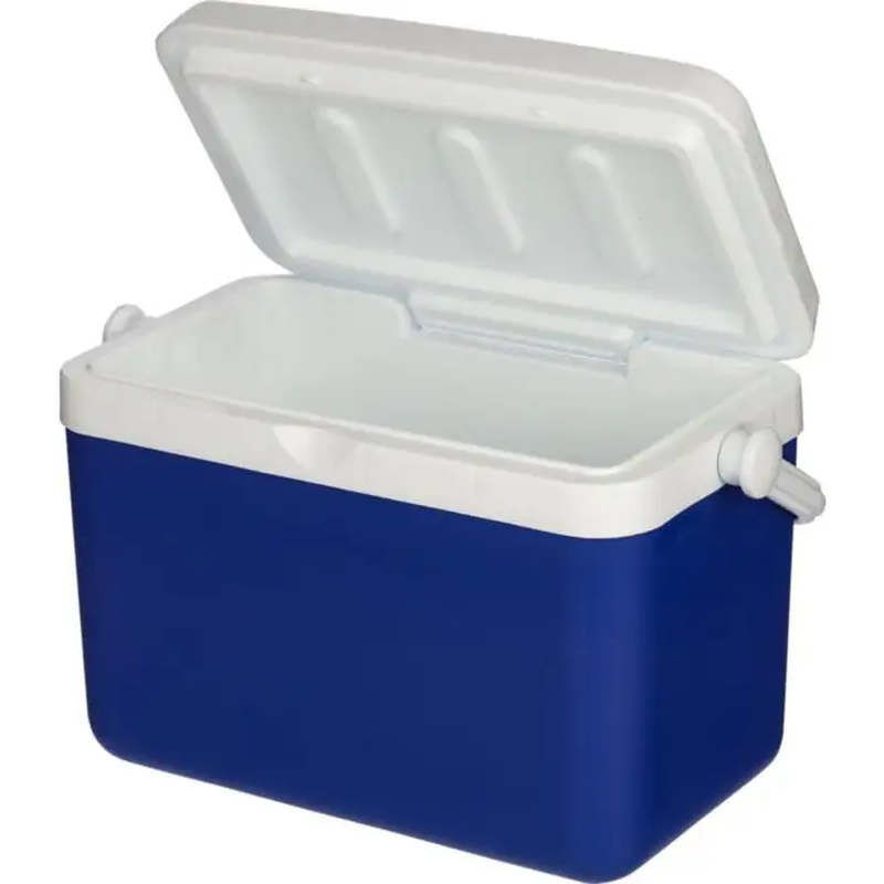 Kühlbox Sunkissed | 4 Liter | Tragbare Isolierbox