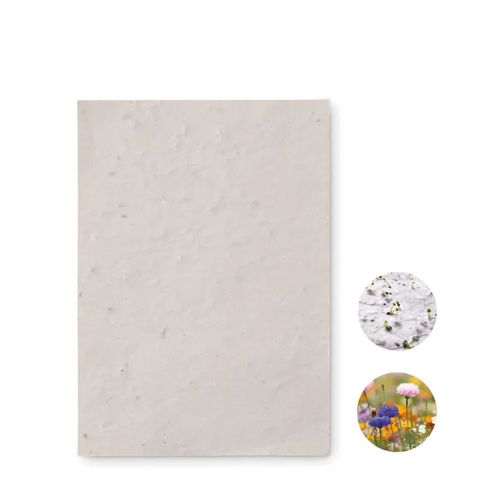 DIN A4 Wildblumen-Samenpapier.