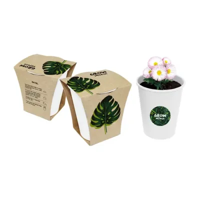 EcoCup – Nachhaltiges Pflanzset im Papierbecher