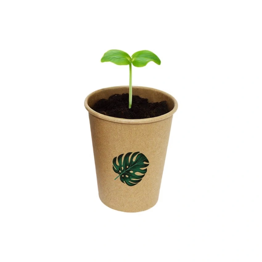 EcoCup – Nachhaltiges Pflanzset im Papierbecher