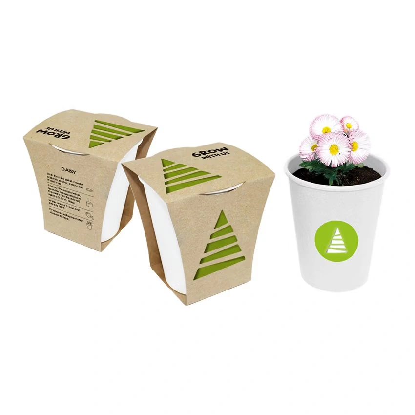 EcoCup – Nachhaltiges Pflanzset im Papierbecher