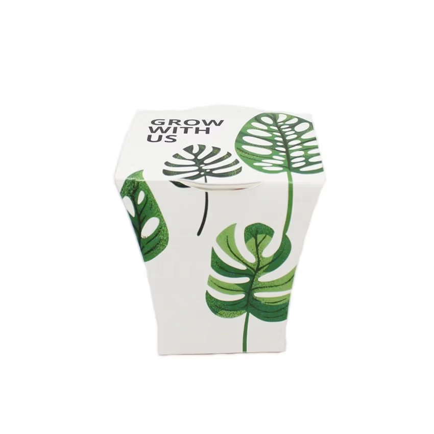 EcoCup – Nachhaltiges Pflanzset im Papierbecher
