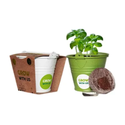 Grow Kit Bucket – Ihr eigener Mini-Garten im Eimer