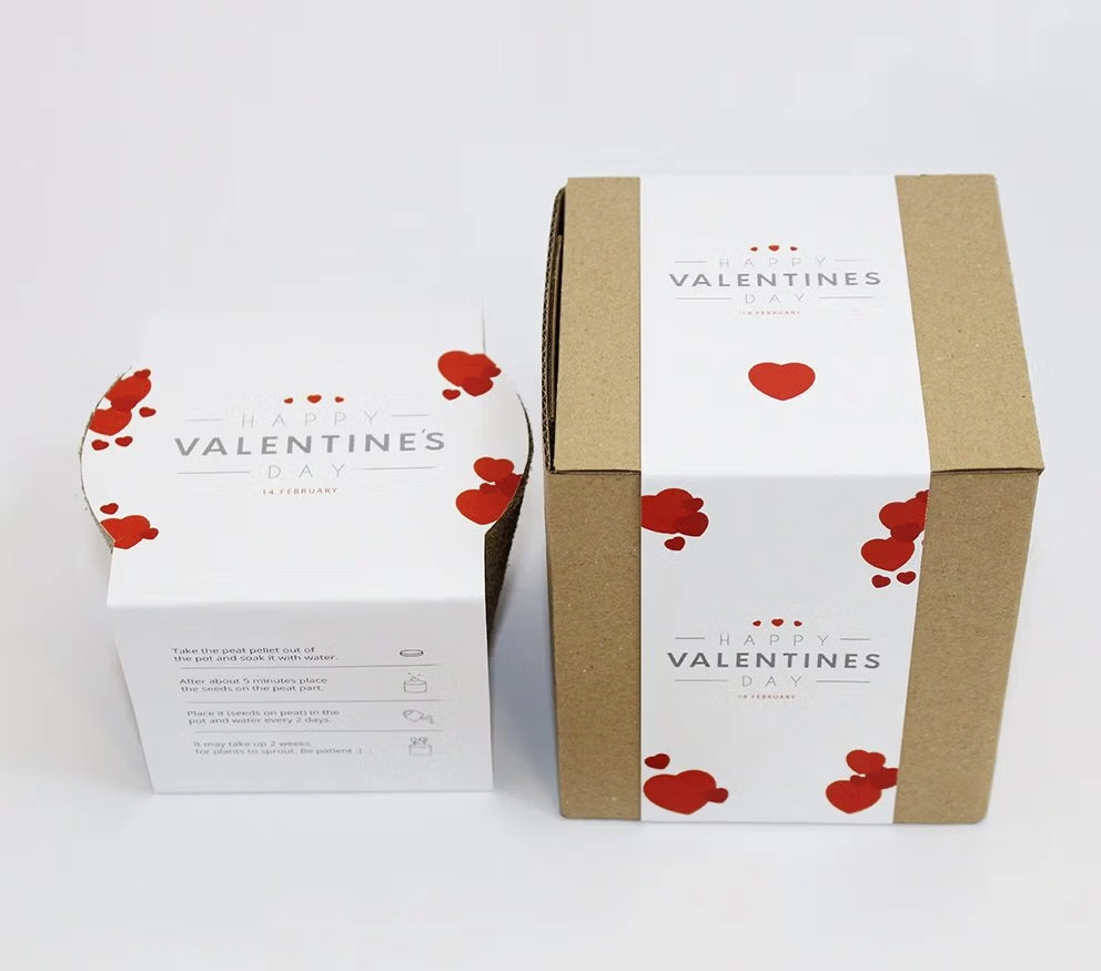 Nature Box – Pflanzset in ökologischer Geschenkbox