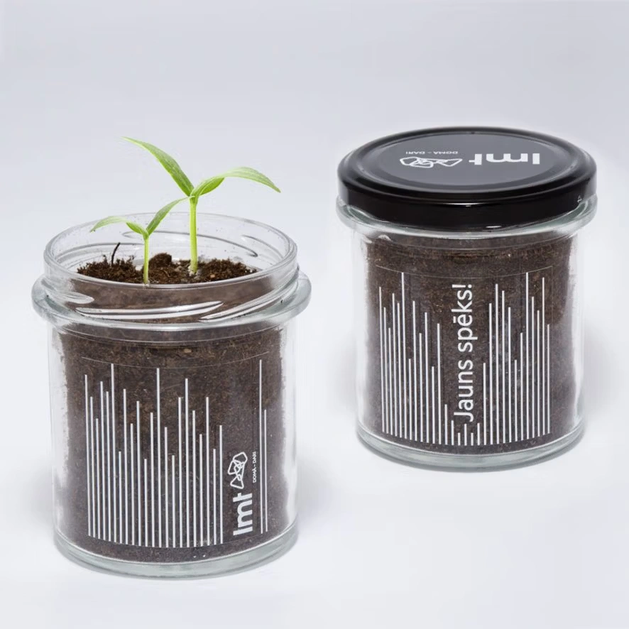 Pflanzset mit Naturerde im Glas