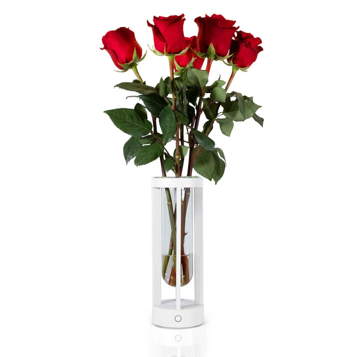 MagLED® Vase – LED-Akku Tischleuchte mit integrierter Blumenvase