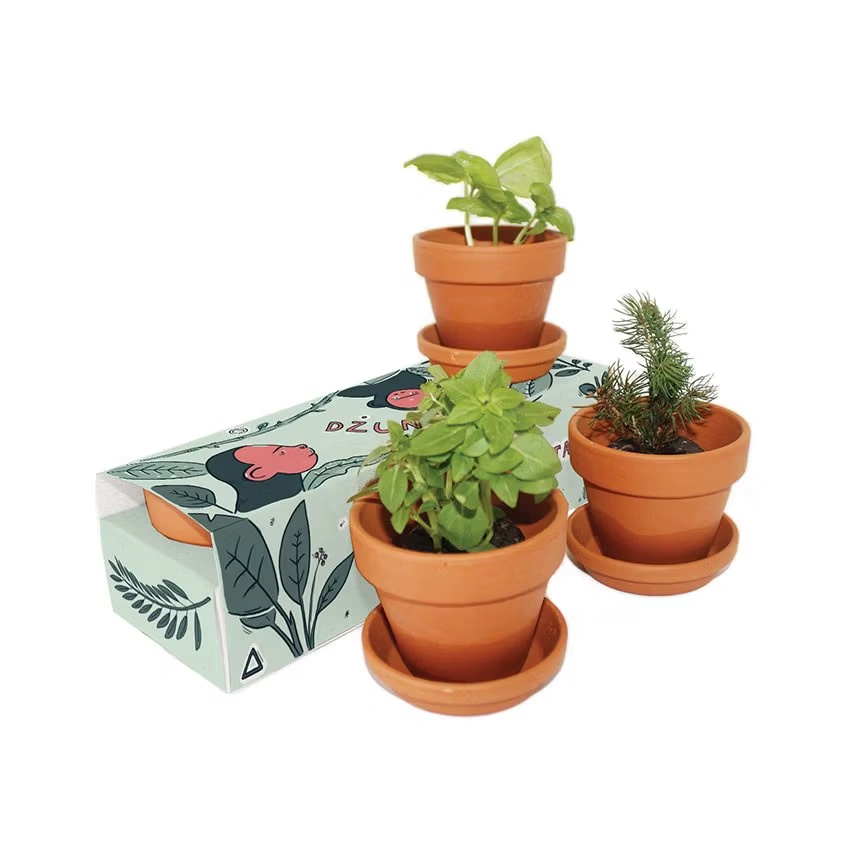 Keramik-Pflanzset 3er-Pack XXL