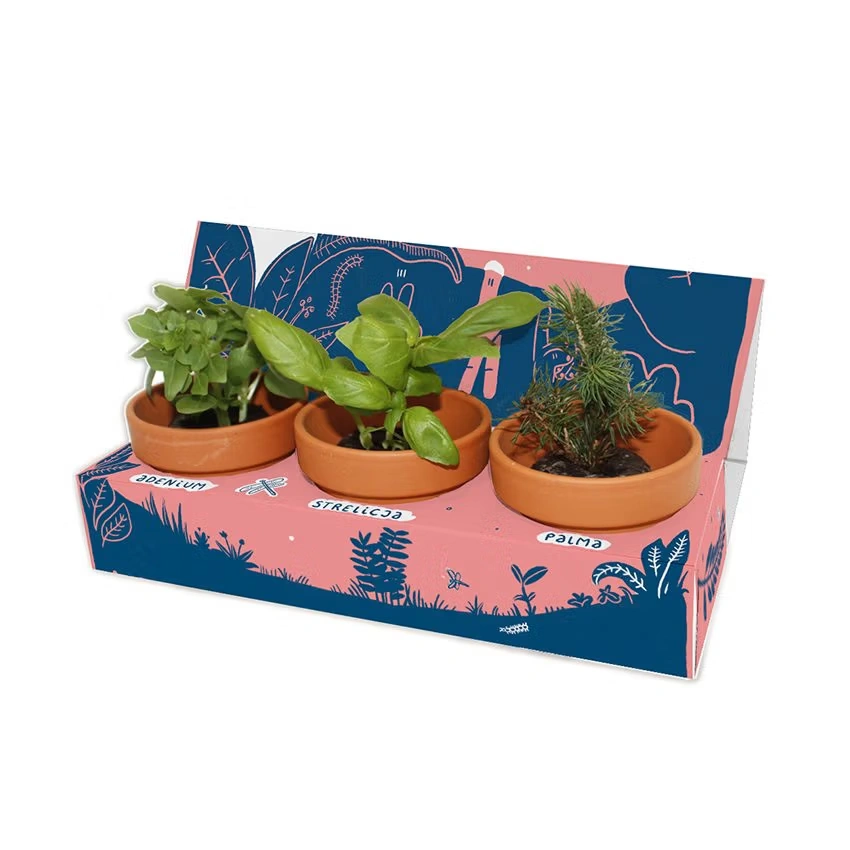 Keramik-Pflanzset 3er-Pack XXL