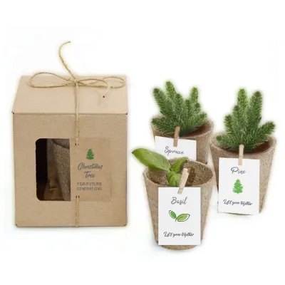 Nature 3-Pack – Pflanzset mit 3 verschiedenen Pflanzen