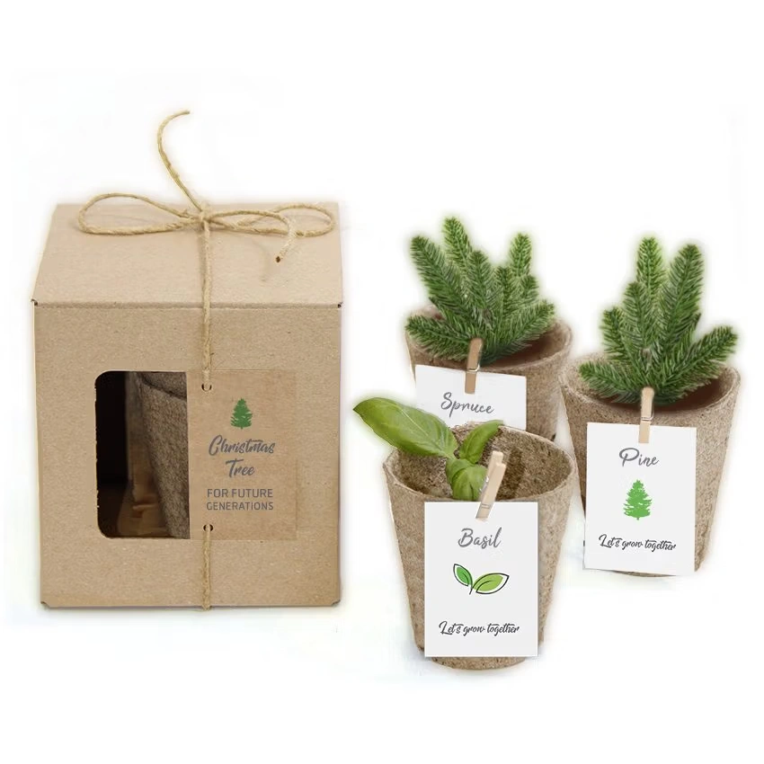 Nature 3-Pack – Pflanzset mit 3 verschiedenen Pflanzen