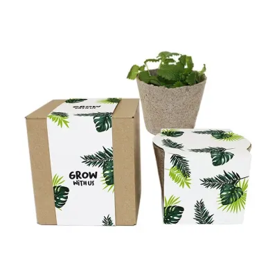 Nature Box – Pflanzset in ökologischer Geschenkbox