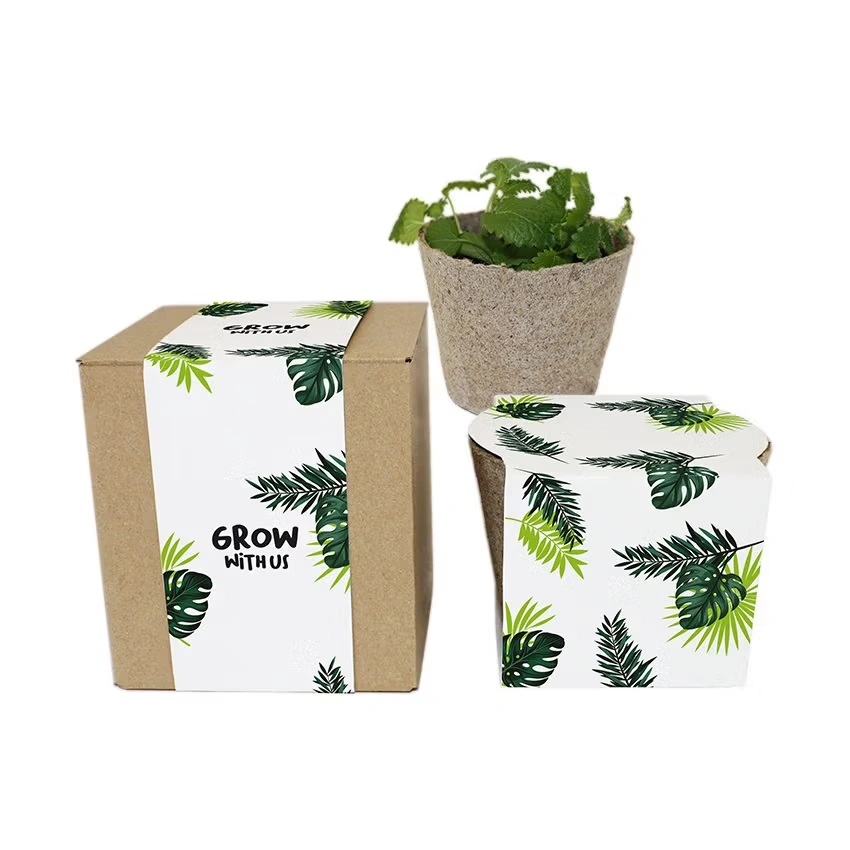 Nature Box – Pflanzset in ökologischer Geschenkbox