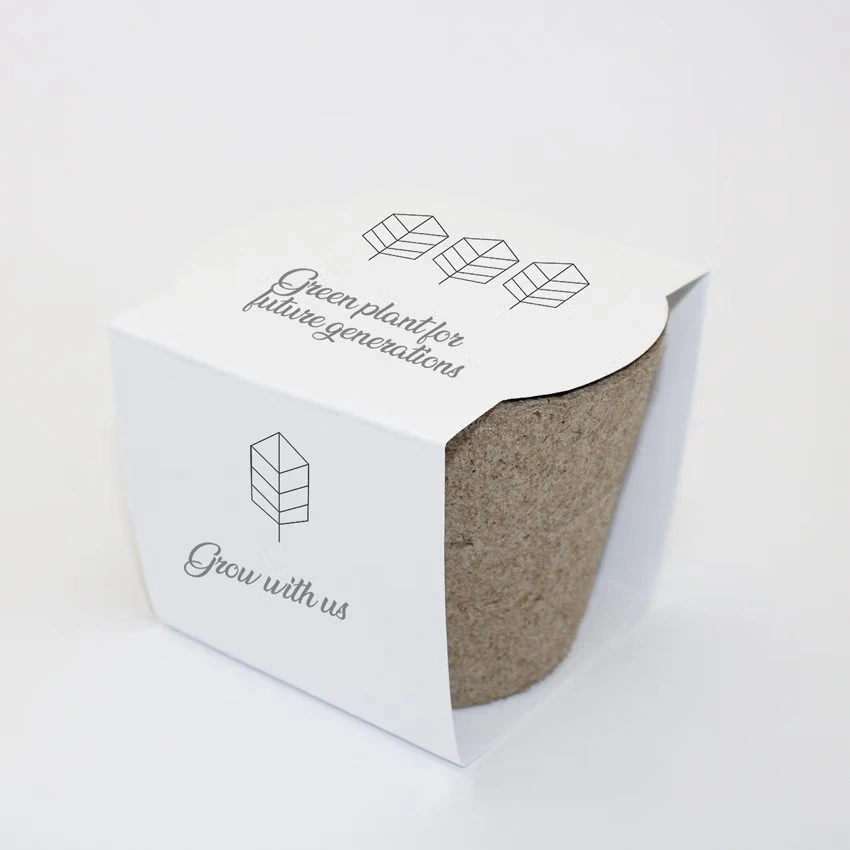 Nature Box – Pflanzset in ökologischer Geschenkbox
