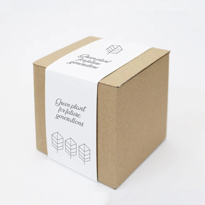 Nature Box – Pflanzset in ökologischer Geschenkbox
