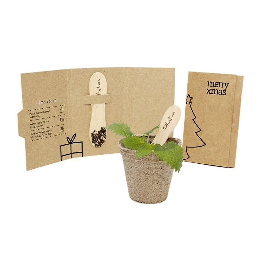 Plant Stick – Pflanzstab mit Saatgut