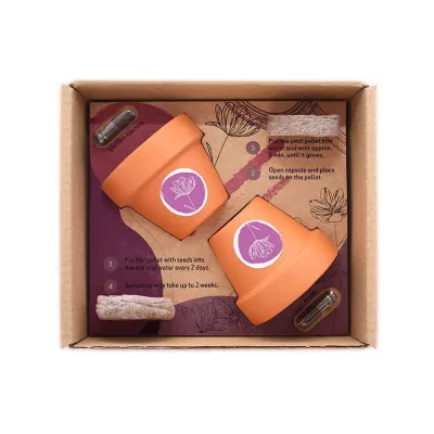 Doppeltes Pflanzset in Geschenkbox