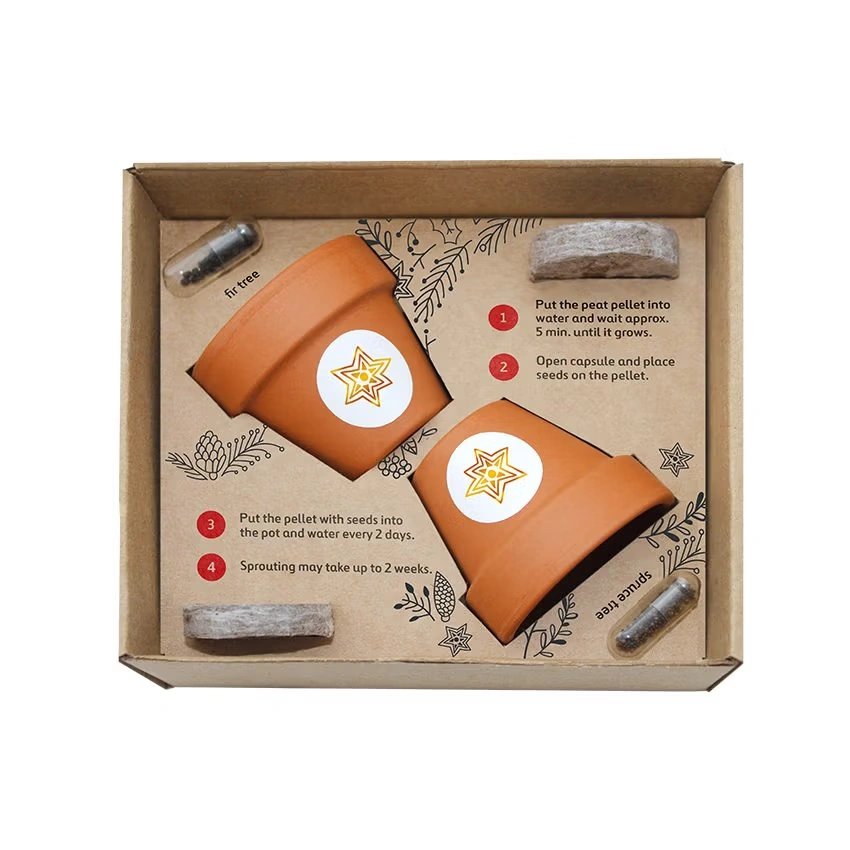 Doppeltes Pflanzset in Geschenkbox