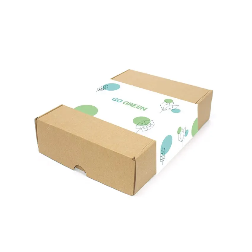 Tillandsia Case – Luftpflanzen-Geschenkset