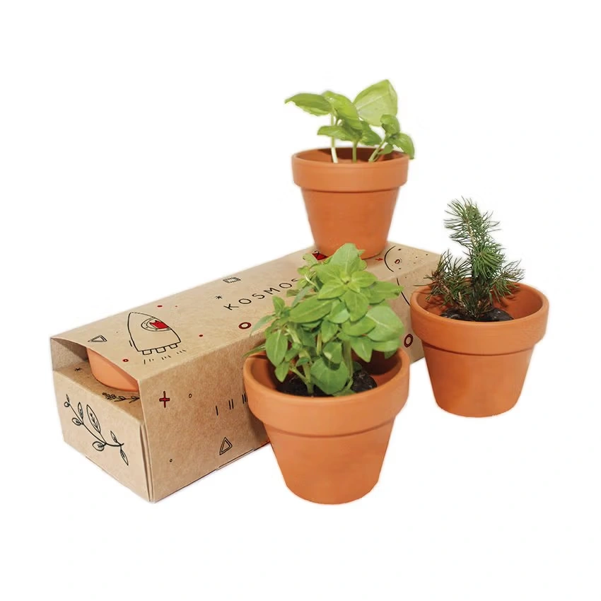 Keramik-Pflanzset 3er-Pack