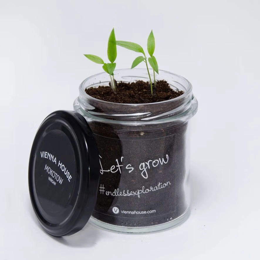 Pflanzset mit Naturerde im Glas